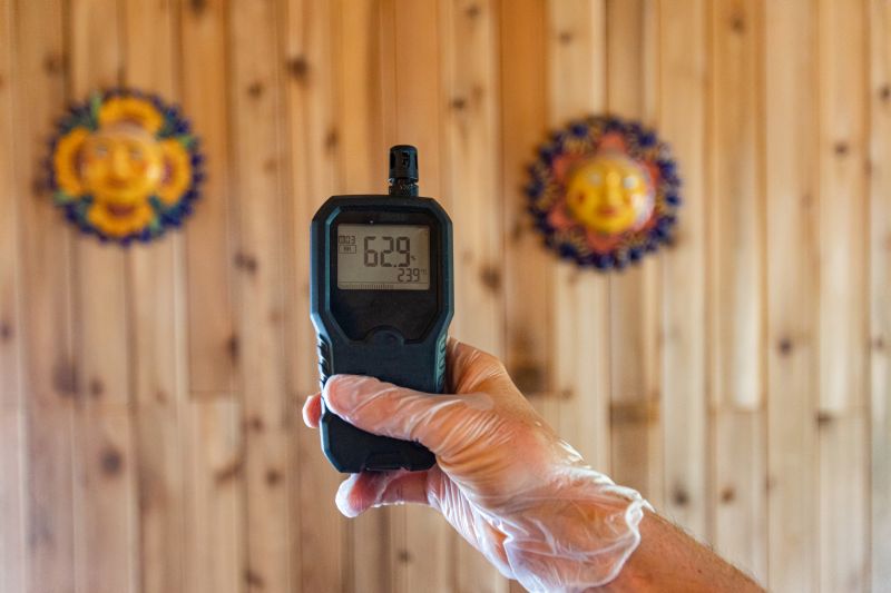 Mold Air Testing