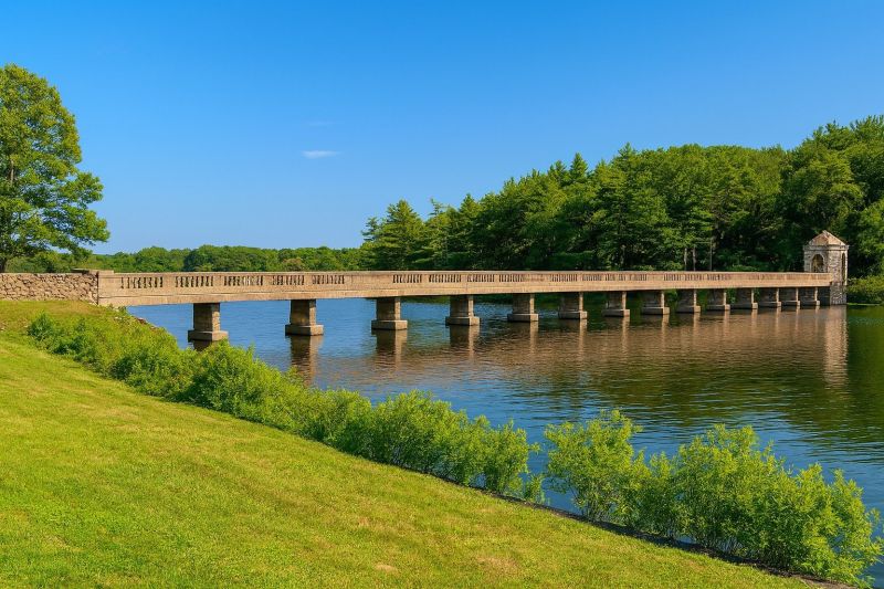 Boiler Service in Abington, MA
